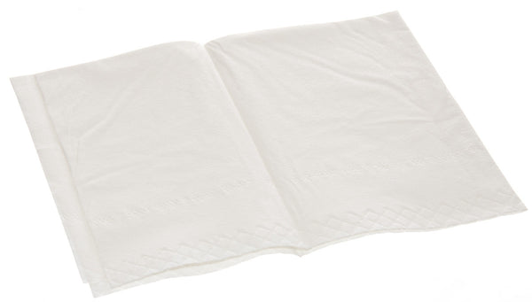 2-Ply Tissue Everyday Professional Tissue Towel (Case of 500) - BH Medwear